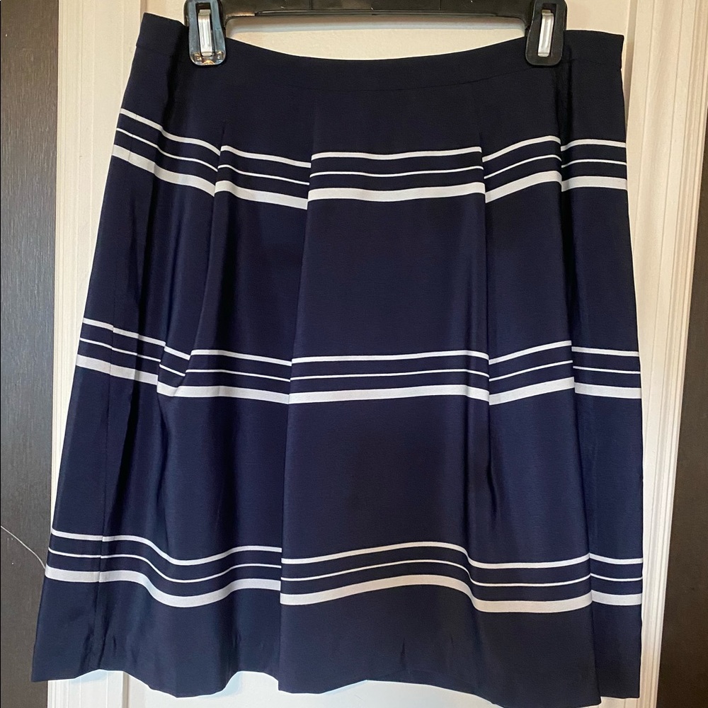 The limited striped skirt